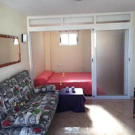 Gerona Playmon Virginia * بينايدورم