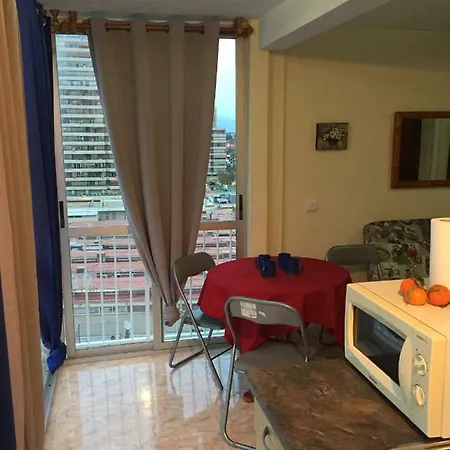 Gerona Playmon Virginia بينايدورم